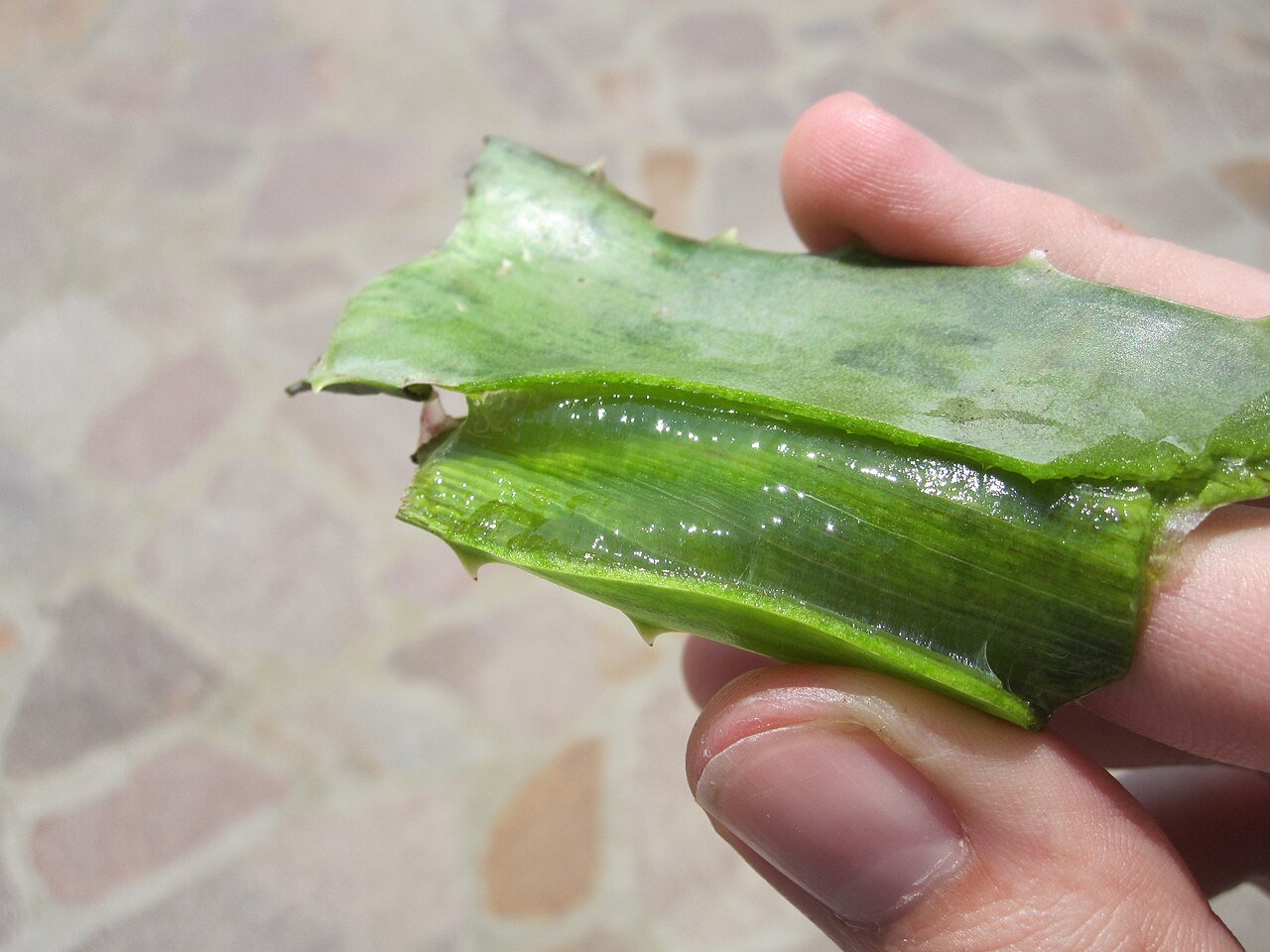 Clear aloe vera gel, a cooling gel mask base